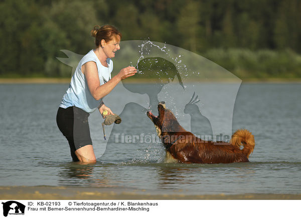 Frau mit Berner-Sennenhund-Bernhardiner-Mischling / woman with Bernese-Mountain-Dog-Saint-Bernard-Mongrel / KB-02193