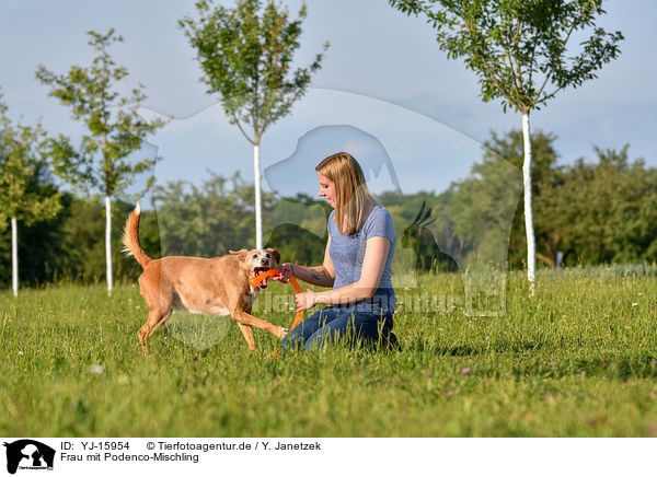 Frau mit Podenco-Mischling / woman with Podenco-Mongrel / YJ-15954