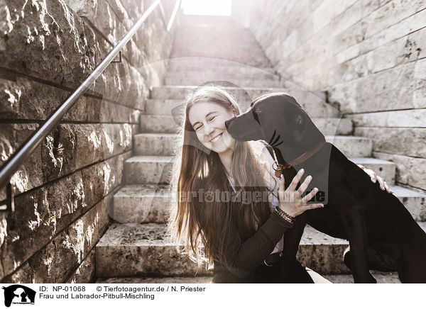 Frau und Labrador-Pitbull-Mischling / woman and Labrador-Pitbull-Mongel / NP-01068