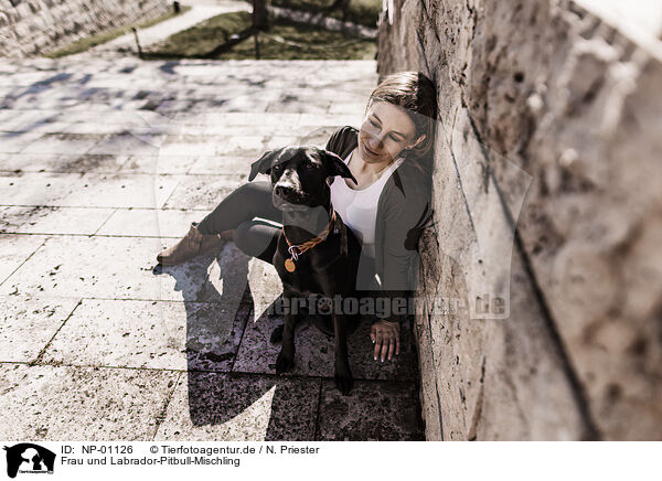 Frau und Labrador-Pitbull-Mischling / woman and Labrador-Pitbull-Mongel / NP-01126