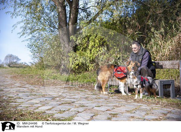 Wandern mit Hund / Hiking with dog / MW-24496