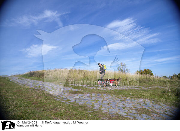 Wandern mit Hund / Hiking with dog / MW-24501