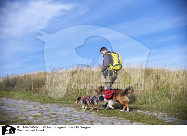 Wandern mit Hund / Hiking with dog / MW-24502