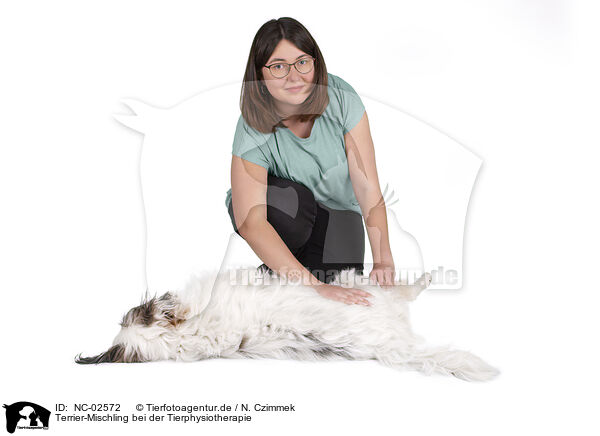 Terrier-Mischling bei der Tierphysiotherapie / NC-02572