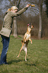 spielender Hund
