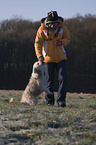 Tibet-Terrier-Sheltie-Mischling fttern