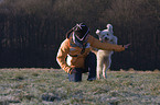 Dogdance mit Tibet-Terrier-Sheltie-Mischling