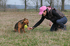 Boxer-Mischling