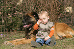 Kind und Leonberger-Mix