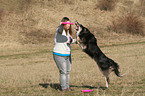 spielender Border-Collie-Mix
