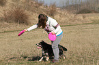 spielender Border-Collie-Mix