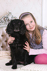 Mdchen und Cocker-Spaniel-Mischling