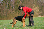 Frau und Schferhund-Mischling