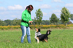 Frau und Sheltie-Mischling