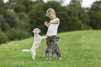 Junge mit Terrier-Mischlinge