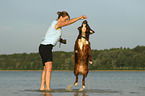 Frau mit Berner-Sennenhund-Bernhardiner-Mischling