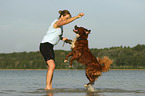 Frau mit Berner-Sennenhund-Bernhardiner-Mischling