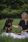 Appenzeller-Sennenhund-Mischling