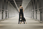 Kroatischer-Schferhund-Mischling