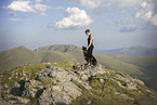 Kroatischer-Schferhund-Mischling