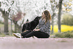 Australian-Shepherd-Mischling