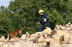 Rettungshund beim Training