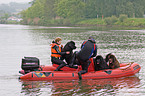 Hund bei der Wasserrettung