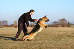 Ausbildung zum Schutzhund