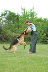 Schutzhundeausbildung