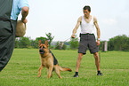 Schutzhundeausbildung