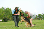 Schutzhundeausbildung