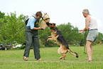 Schutzhundeausbildung