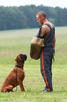 Schutzhundeausbildung