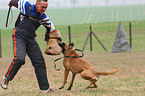 Schutzhundeausbildung