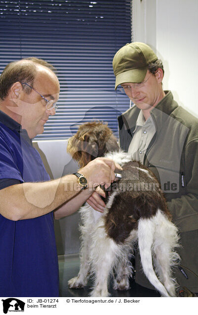 beim Tierarzt / at veterinarian / JB-01274