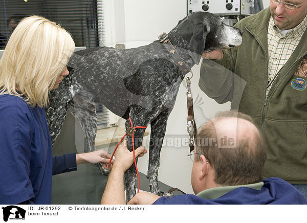 beim Tierarzt / at veterinarian / JB-01292