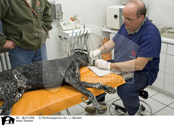 beim Tierarzt / at veterinarian / JB-01295