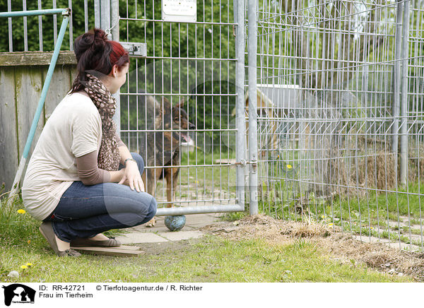 Frau im Tierheim / RR-42721