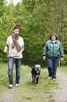 Vermittlungsgesprch im Tierheim
