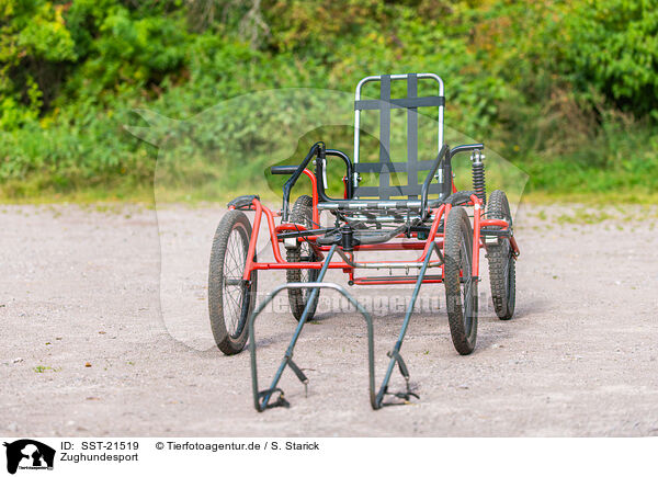 Zughundesport / SST-21519