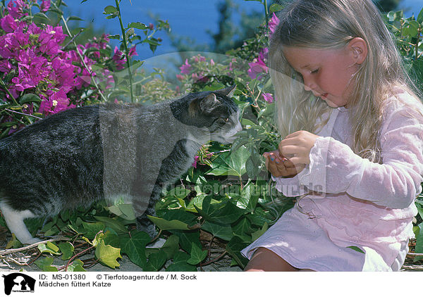 Mdchen fttert Katze / girl feeds cat / MS-01380