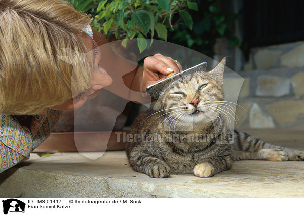 Frau kmmt Katze / woman brushs a cat / MS-01417