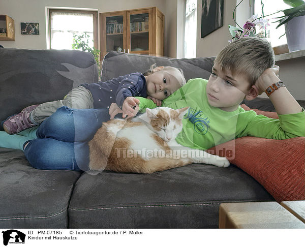Kinder mit Hauskatze / children with Domestic Cat / PM-07185