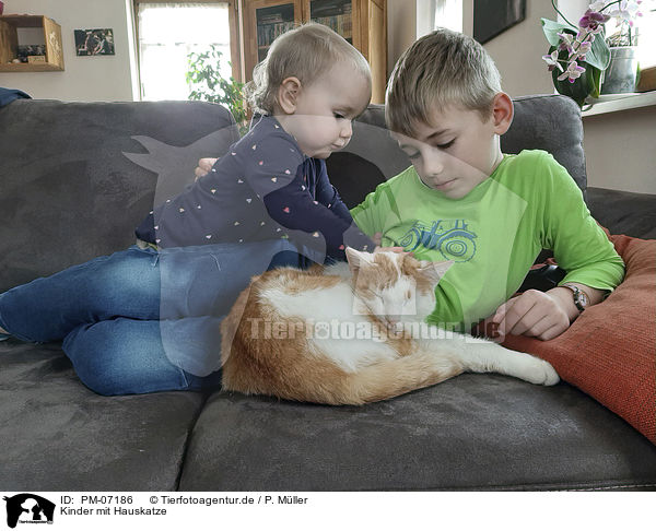 Kinder mit Hauskatze / children with Domestic Cat / PM-07186