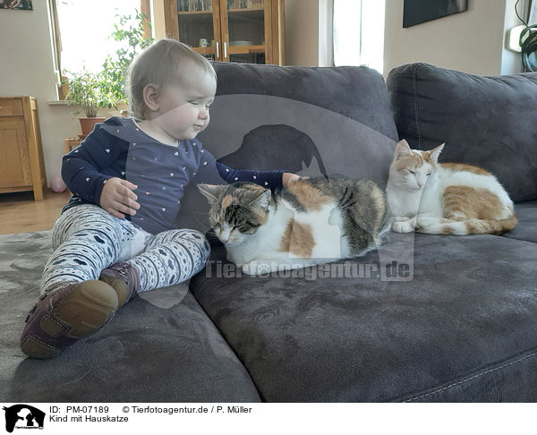 Kind mit Hauskatze / Child with Domestic Cat / PM-07189