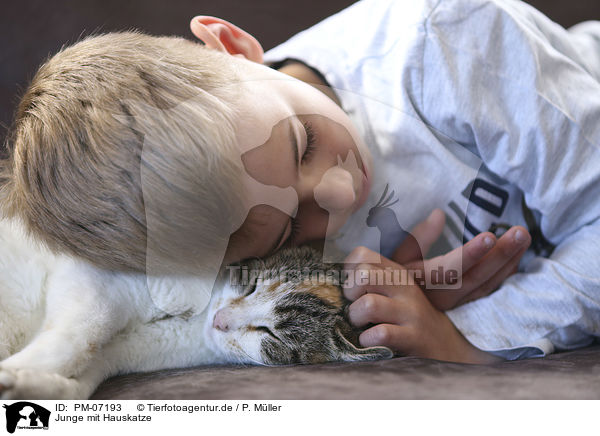 Junge mit Hauskatze / boy with Domestic Cat / PM-07193