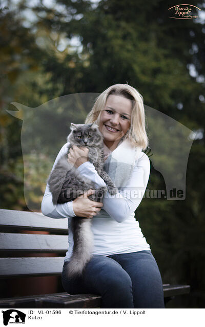 Katze / cat / VL-01596