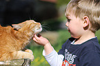 Kind und Hauskatze