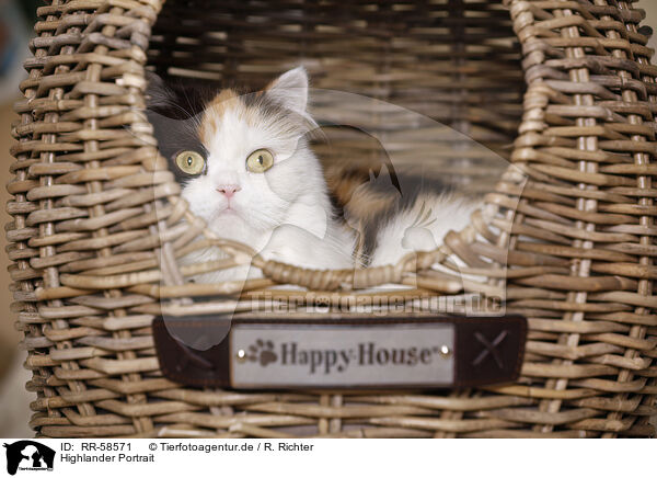 Highlander Portrait / RR-58571