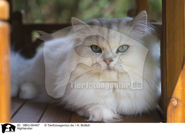 Highlander / Highlander / HBO-06487